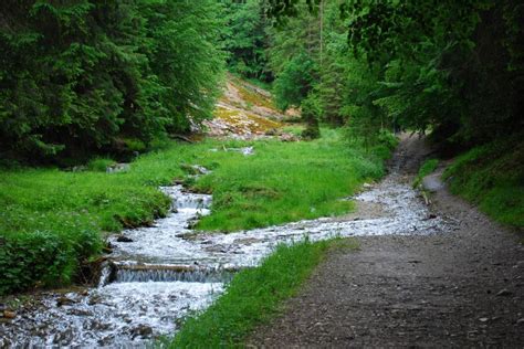 obiective turistice vama buzaului|LA CASCADA URLATOAREA SI REZERVATIA DE ZIMBRII DIN。